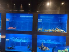 水产区-金时代顺风大酒店(临港百联店)