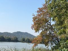 -东湖落雁景区