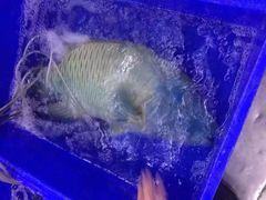 -渔民新村(番禺总店)