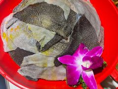 -二荆条·蜀鲜汇城市森林火锅