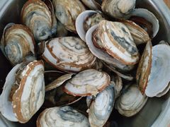 -四海鲜渔家菜(黄金海岸店)