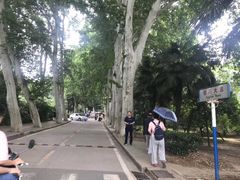 -武汉大学-樱园