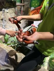 -酷嗒动物文化乐园(cutezoo西溪乐天城店)