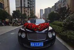 -蚂蚁婚车
