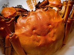 清蒸大阐蟹-新光酒家·河豚·海鲜·蟹料理(浦东店)