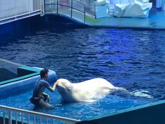 -福州罗源湾海洋世界旅游区