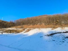 -云岭野山参风景区