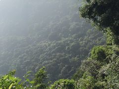 -银瓶嘴森林公园
