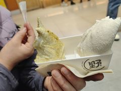 -野人先生现做冰淇淋(西安赛格店)