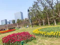-大宁公园