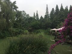 -茅庐·川粤精品私房菜(金沙遗址店)