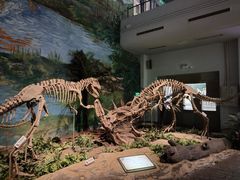-自贡恐龙博物馆