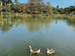 -海珠湖公园