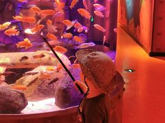 -沈阳海洋探索中心