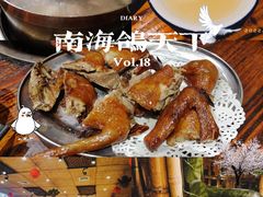 -南海鸽天下(肇庆店)