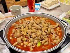 -彭记铁锅肥肠(东四总店)