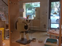-Pets First伊珊娜洗护·精致美容·家庭式寄养(新会路店)