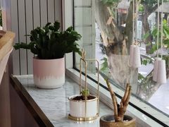 -蝶舍·MAISON PAPILLON