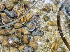 -上海神旺大酒店