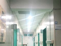-北京观赏动物医院·24小时大型综合·猫专科·异宠专科