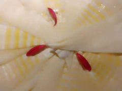 笋片-九鼎轩火锅大排挡