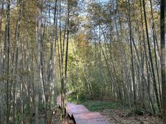 -南京市无想山景区