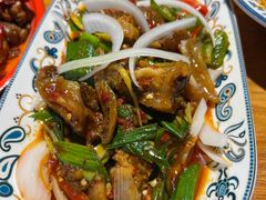 -柴窝堡22号辣子鸡·传承新疆菜