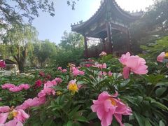 -北京市海淀外国语实验学校