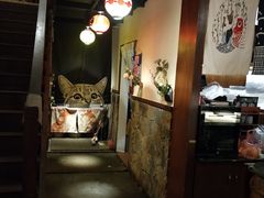 -鱼跃料理(步步高店)