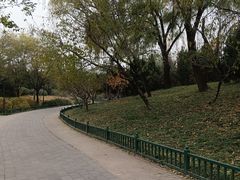 -北坞公园