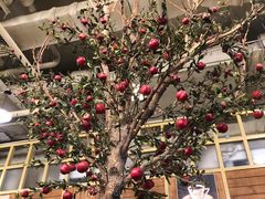 -Cafe Alice咖啡爱丽丝(奥城店)