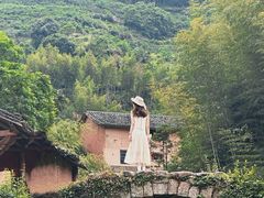 -杨家堂村