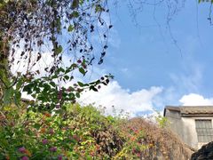 -崖口云吞(中堡店)