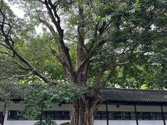 -苏州文庙(姑苏区)