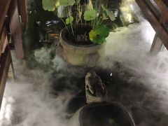 -三只耳火锅(宽窄巷子店)
