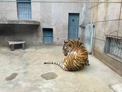 -西安秦岭野生动物园