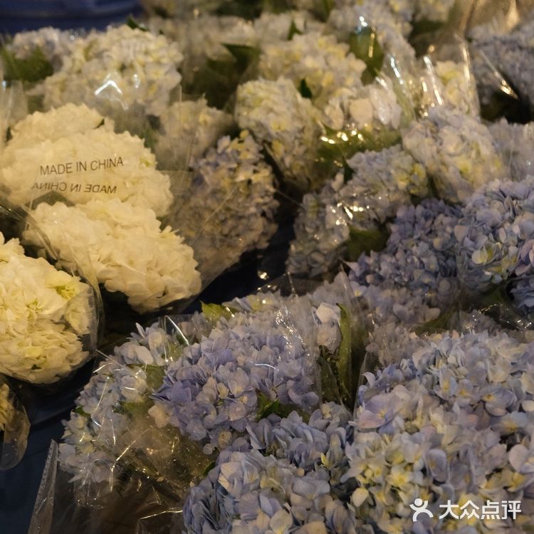超好逛‼️成都最大的花市🌸