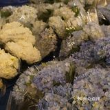 超好逛‼️成都最大的花市🌸