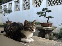 -西园戒幢律寺