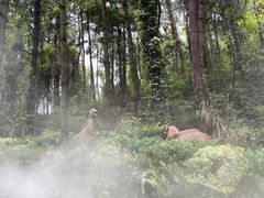 -贵州森林野生动物园
