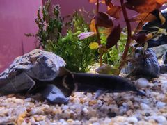 -上海海洋水族馆