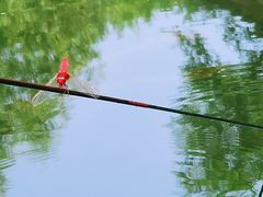 -白河湾生态旅游一条川