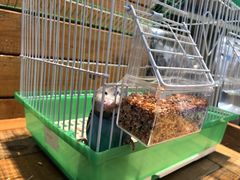 -龟与熊猫宠物公园(南坪店)