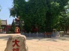 -大槐树寻根祭祖园
