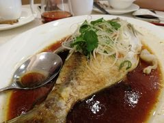 -龙悦湾酒家·八阵鱼生·渔人码头店