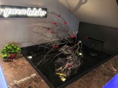 -杨氏青龙虾·羊蝎子(金盛路总店)