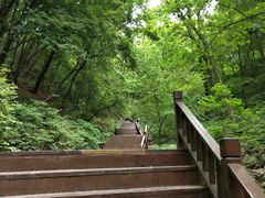 -天女山森林公园