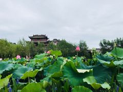 -渭南桃花源民俗文化园