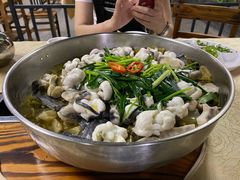 圆盘酸菜鸭嘴鱼-渔文乐农庄