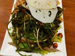 -福苗小骆驼烧烤(太奥广场店)